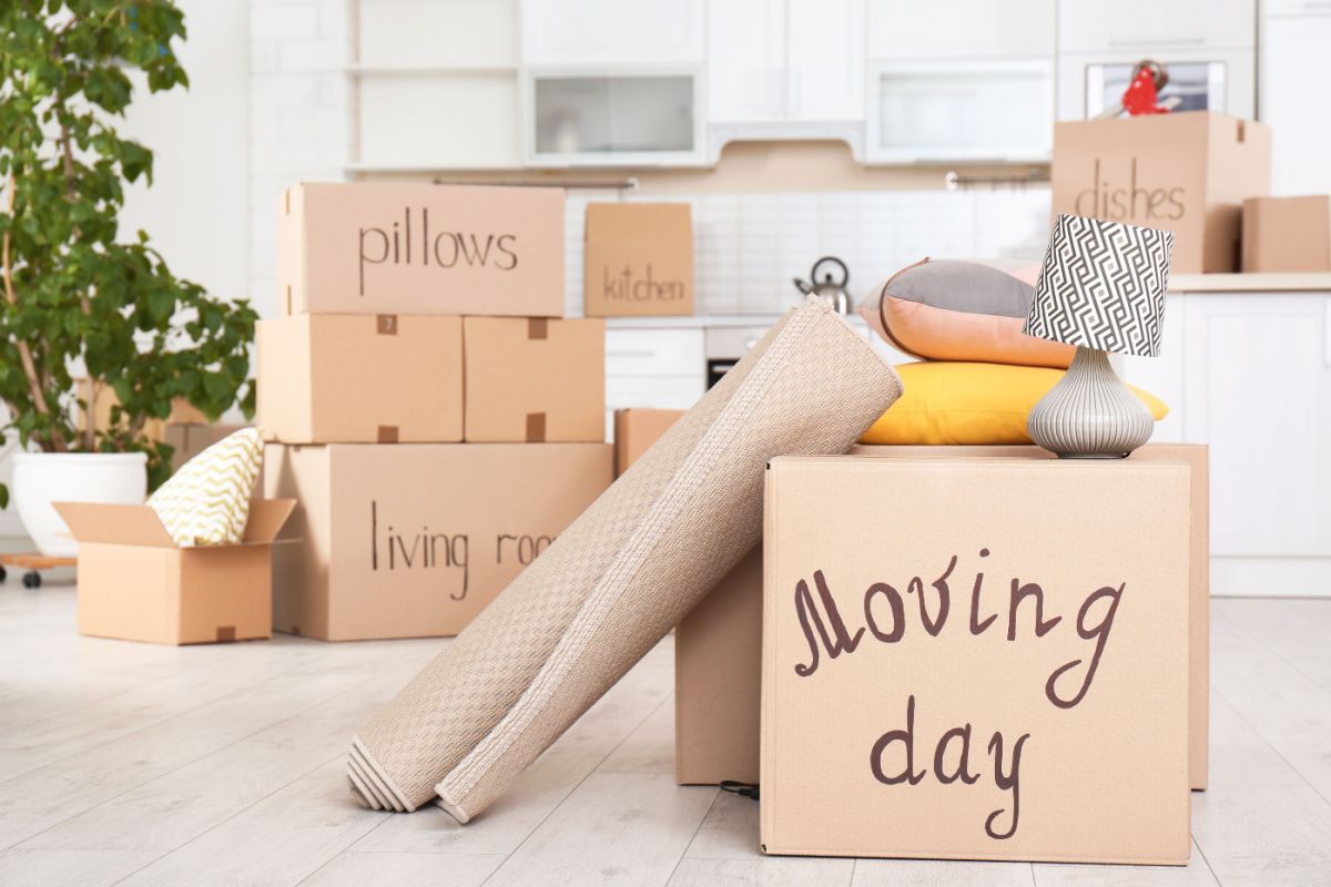 Cardboard boxes labeled "moving day," "pillows," "living room," "dishes," and "kitchen."